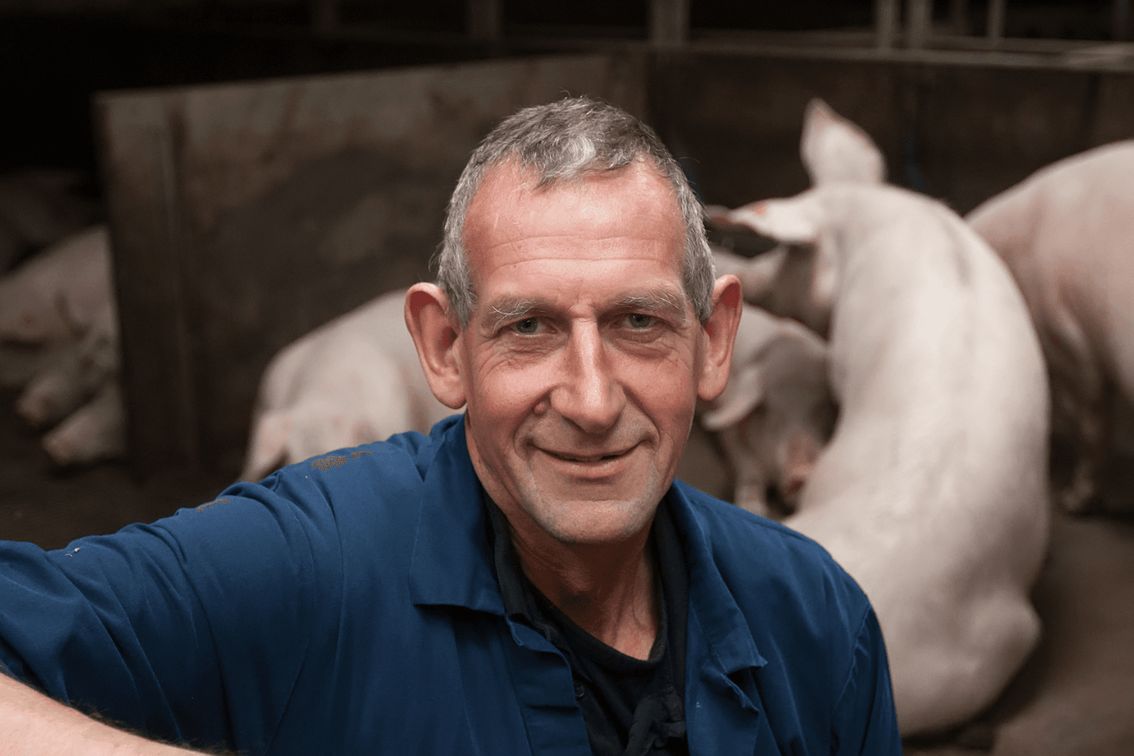Prijsvorming voor conceptvarkens moet anders - Foto: Ronald Hissink