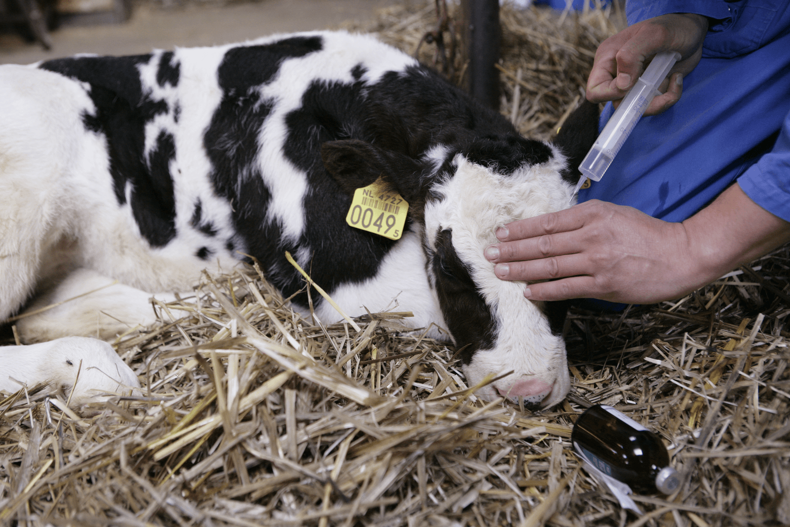 Soepeler gebruiksregels tweedekeus-antibiotica - Foto: Michel Zoeter