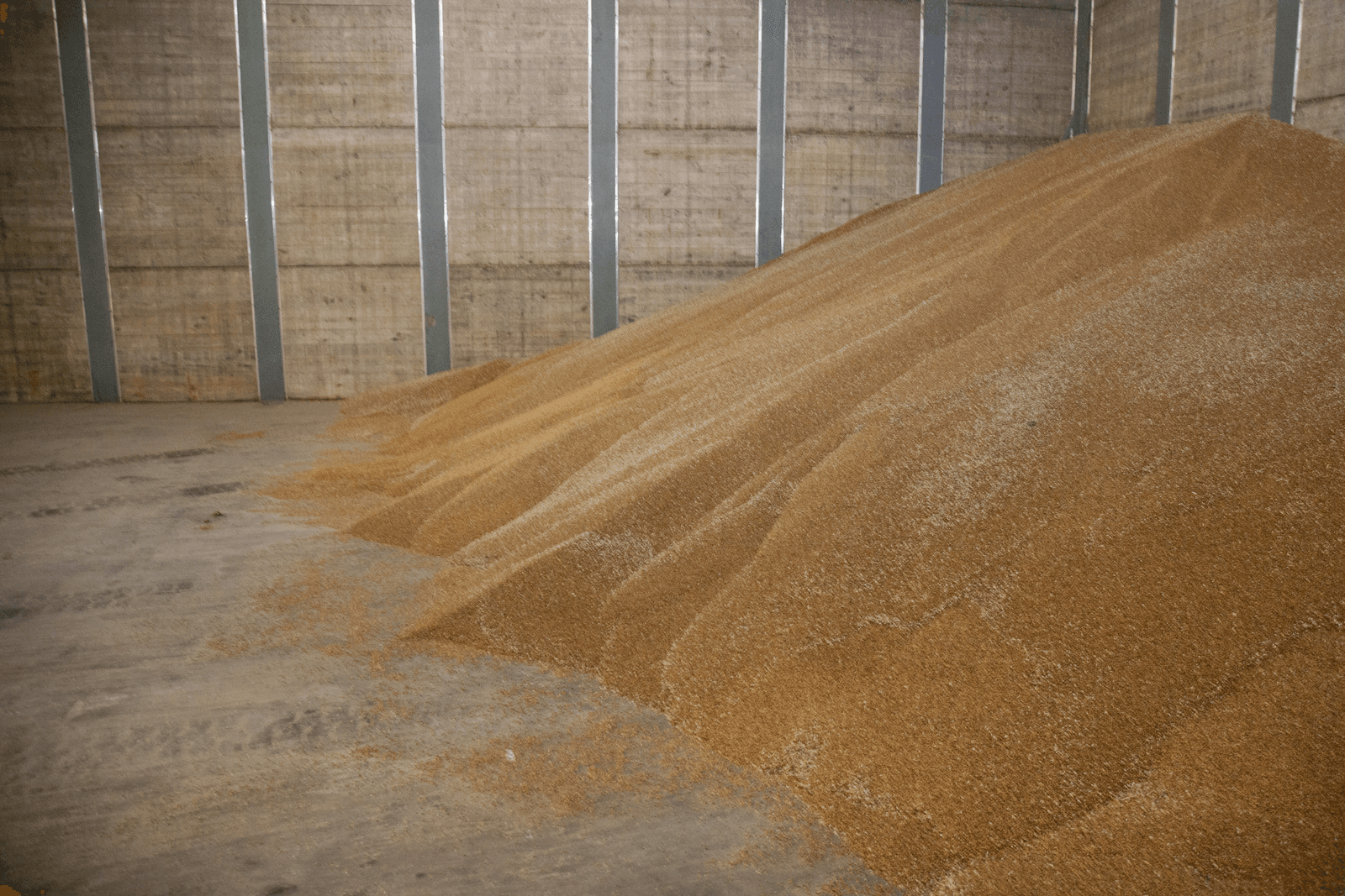 VS verschuift tarwe-export naar kwaliteitskopers - Foto: Jan Willem van Vliet