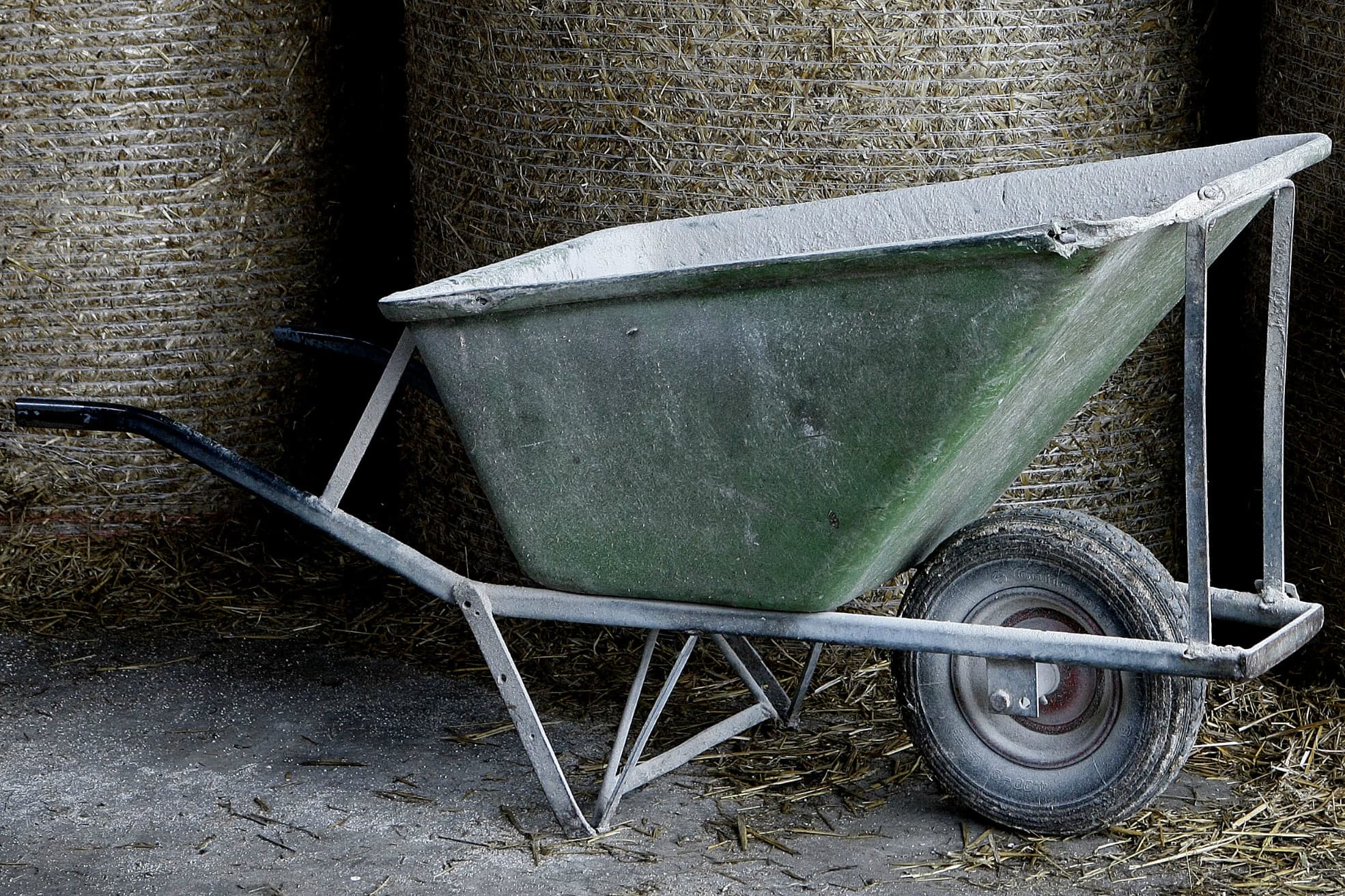 Foto: Hans Prinsen