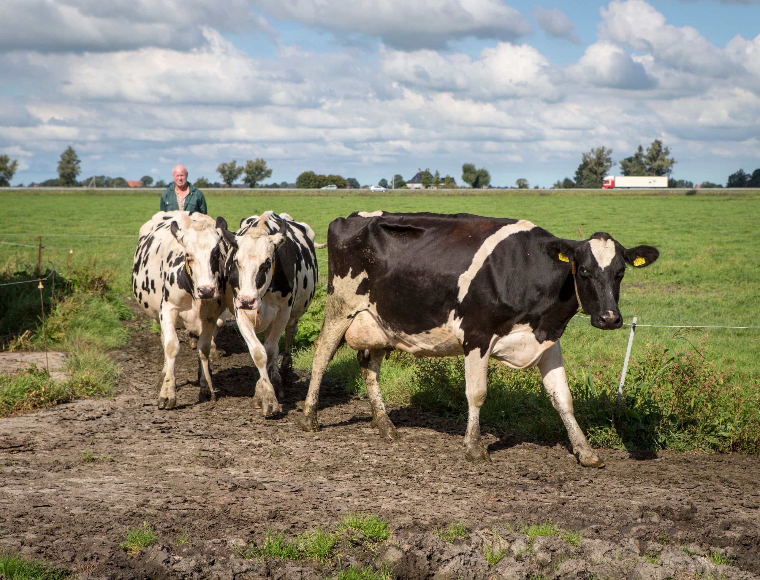 Foto: Anne van der Woude
