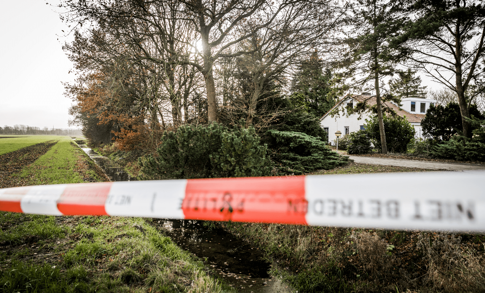 Vogelgriep: niet alleen beperkingen voor pluimvee - Foto: ANP