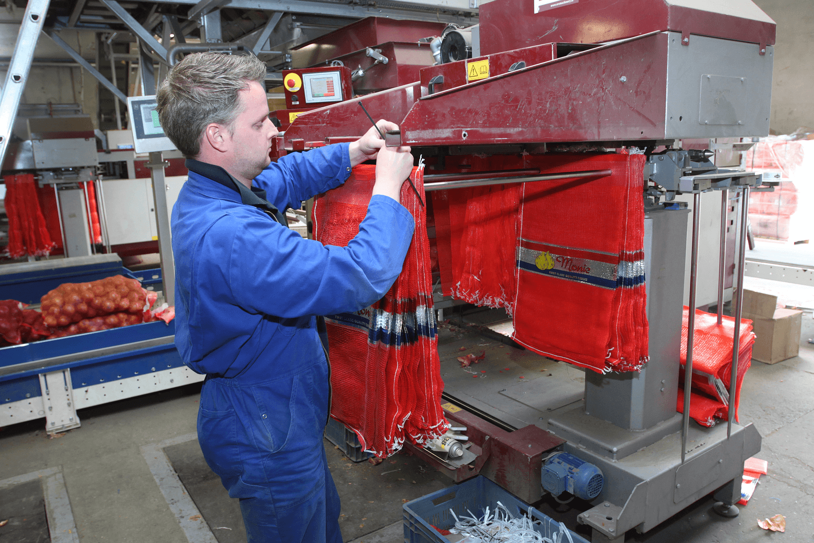 Uiensorteeer- en pakstation Monie in Nieuwdorp. Eric Moerdijk aan het werk bij de sorteer/verpakkingslijn. - Foto: Peter Roek