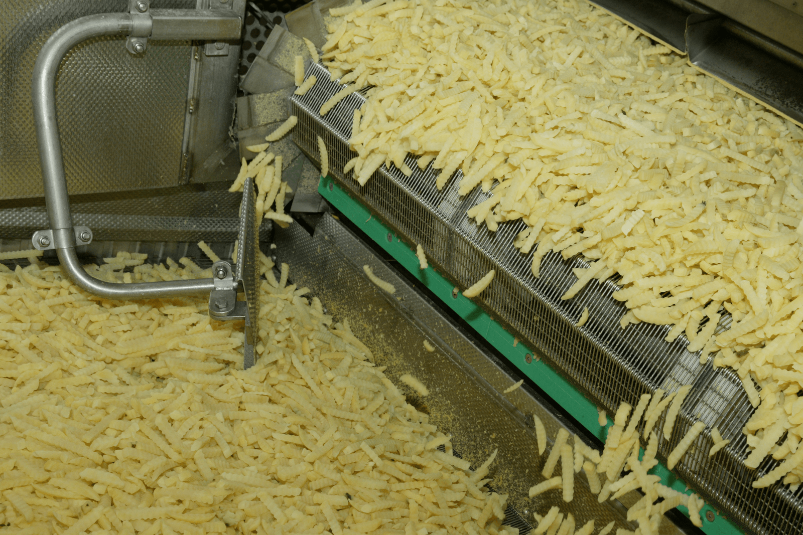 Mooie toekomst voor aardappelverwerkers - Foto: Koos Groenewold