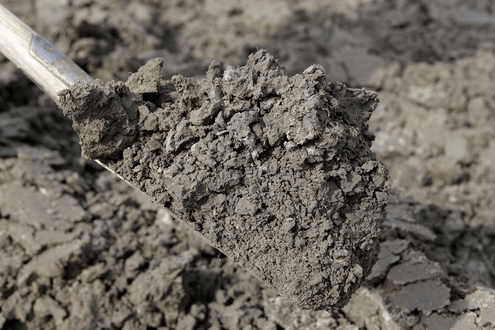 Gemiddeld over de jaren 2012 tot en met augustus 2016 brengt een grondperceel met zware zavel ¬ 58.200 per hectare op - Foto: Hans Prinsen