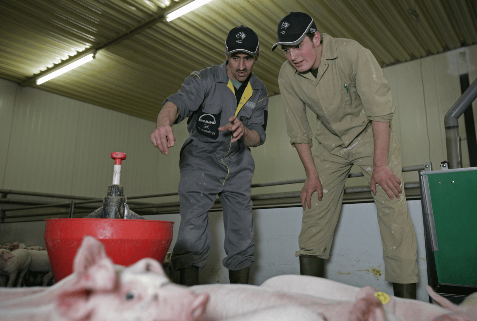 Opvolgers van buiten de landbouw moeten gemakkelijker een boerderij over kunnen nemen. - Foto: Jan Willem Schouten