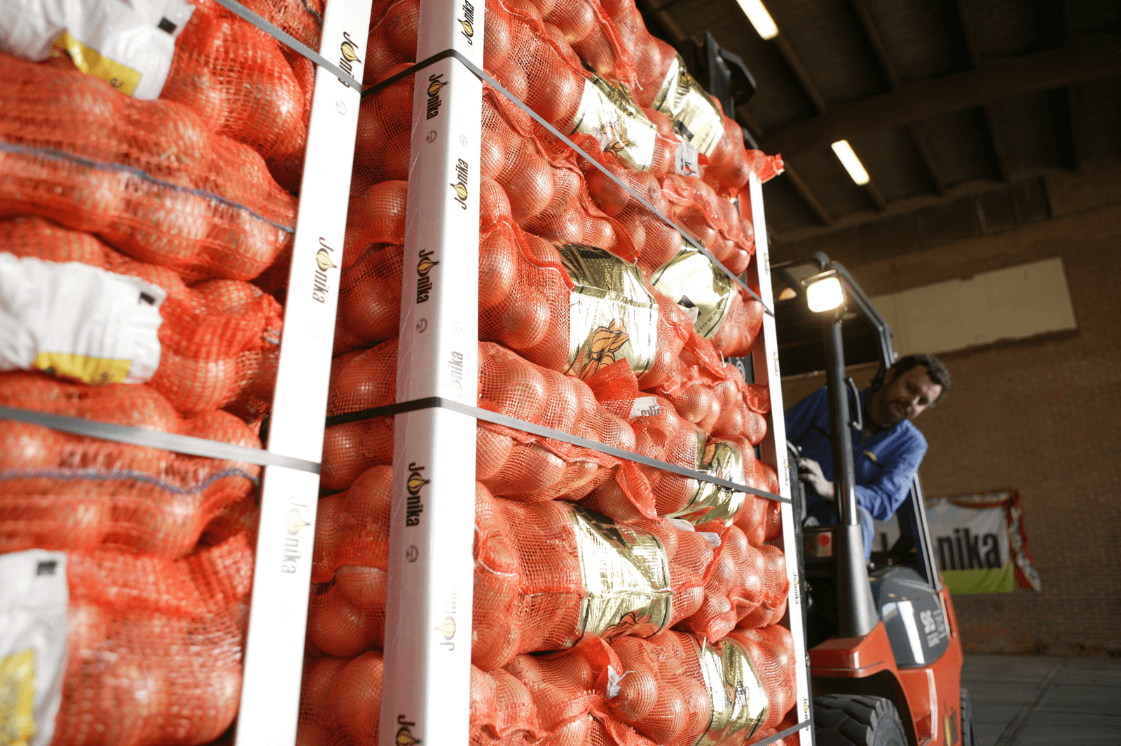 Senegal belangrijkste afnemer Nederlandse uien - Foto: Mark Pasveer