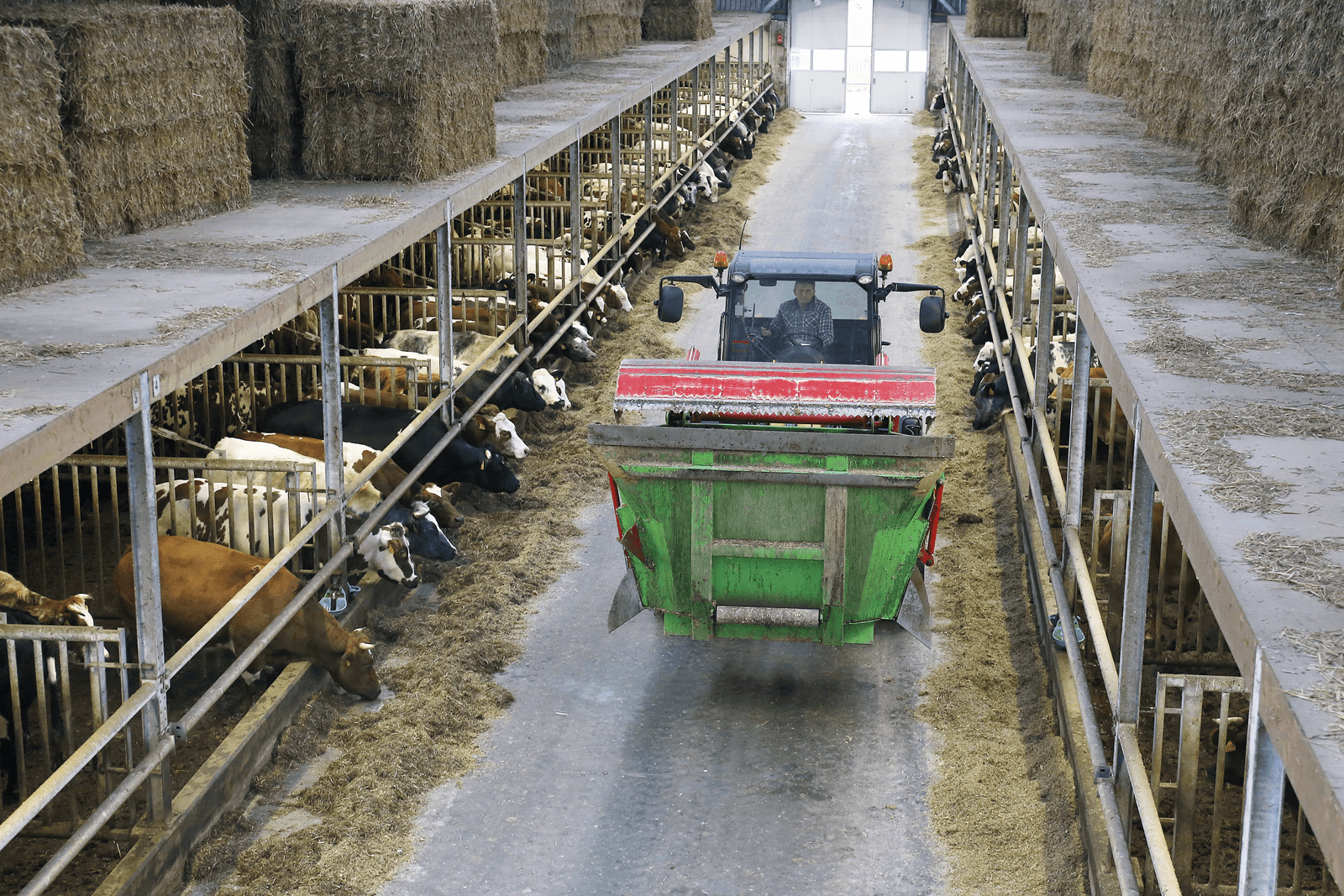Geen automatisering, toch arbeidsgemak - Foto: Ton Kastermans Fotografie