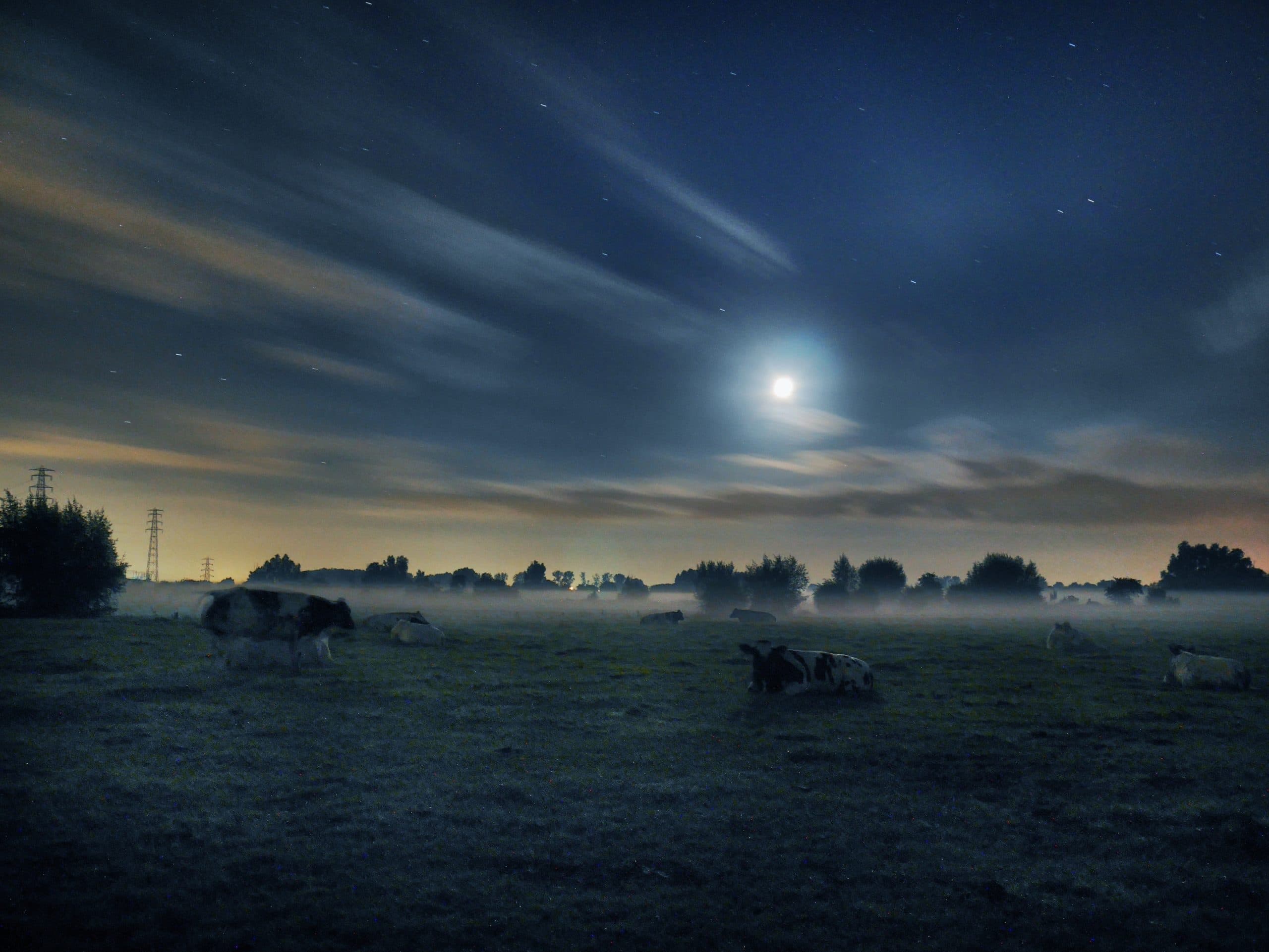 Foto: Michiel van Druten