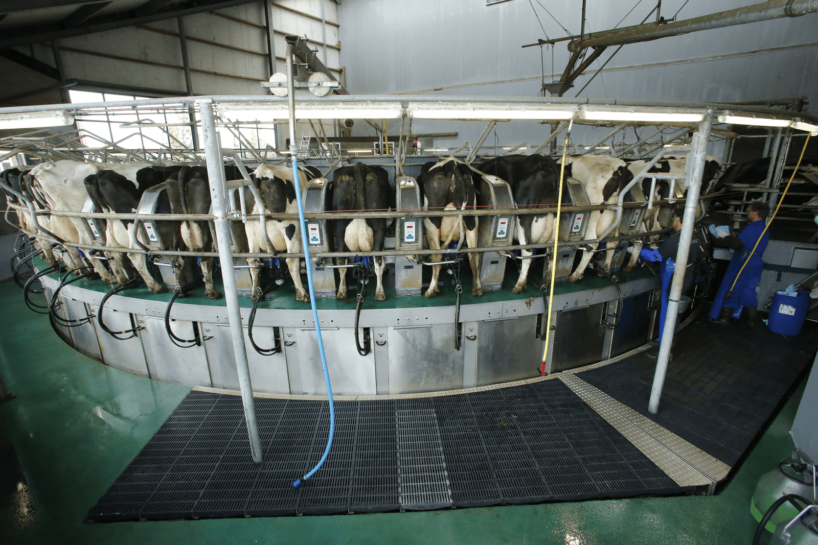 Coöperatieve zuivel sleutelt aan melkaanvoerknop - Foto: Henk Riswick