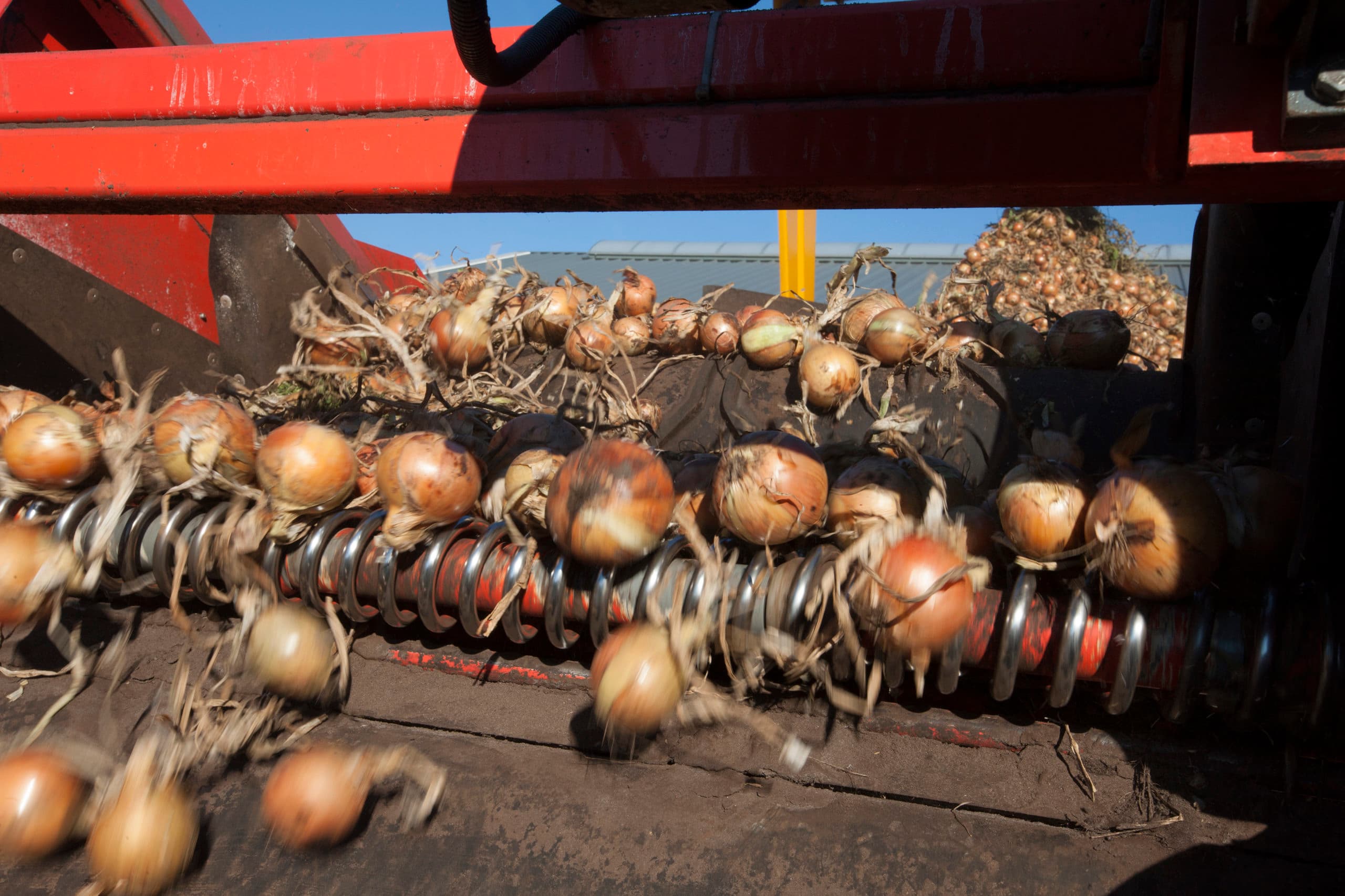 Uiensector: stel procedure toelating MH uit