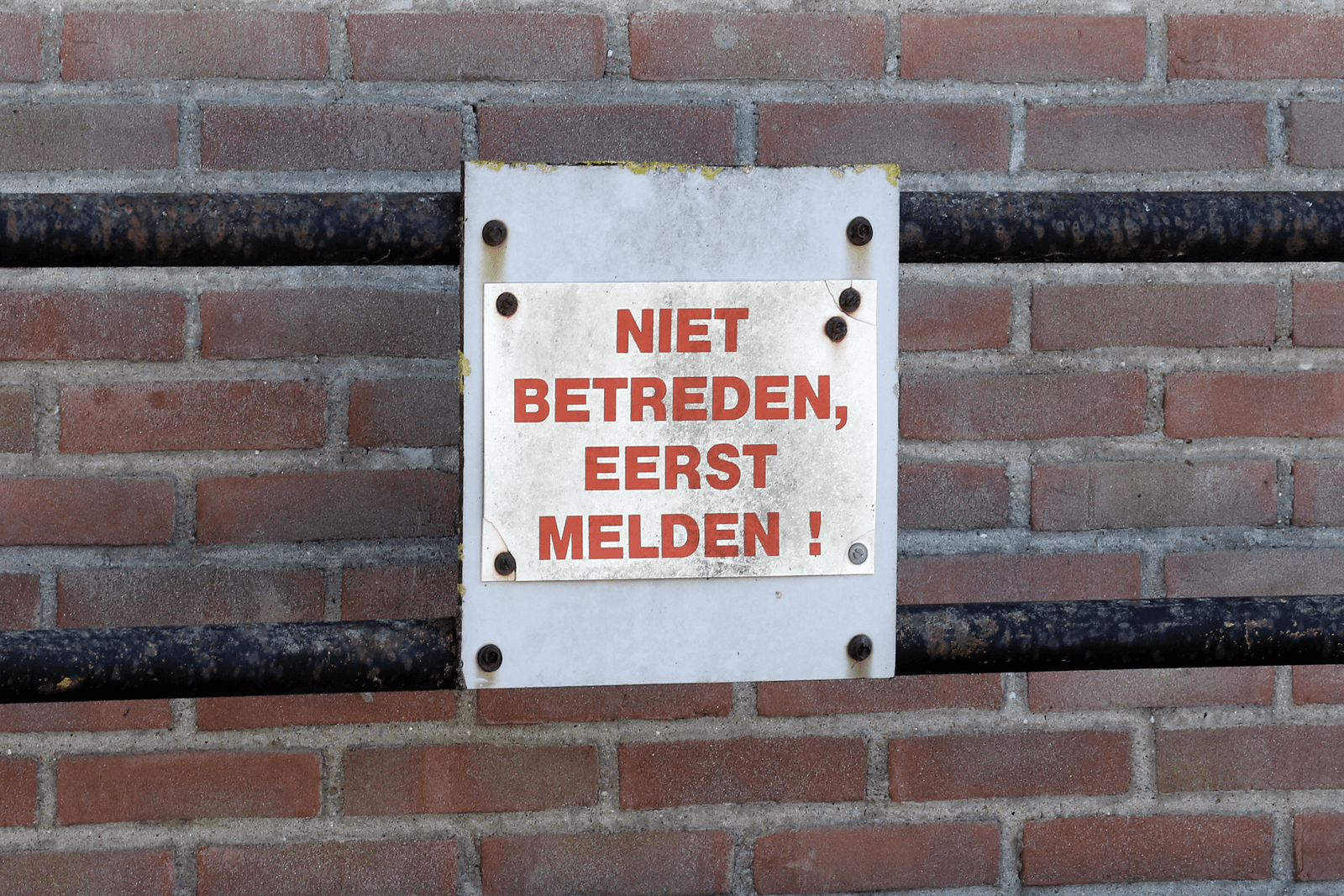 Foto: Bert Jansen