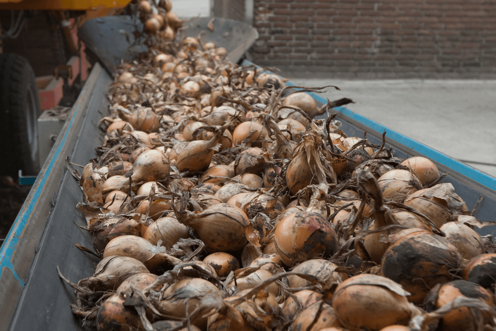 DCA alleen verder met Uienhandel.com - Foto: Ronald Hissink