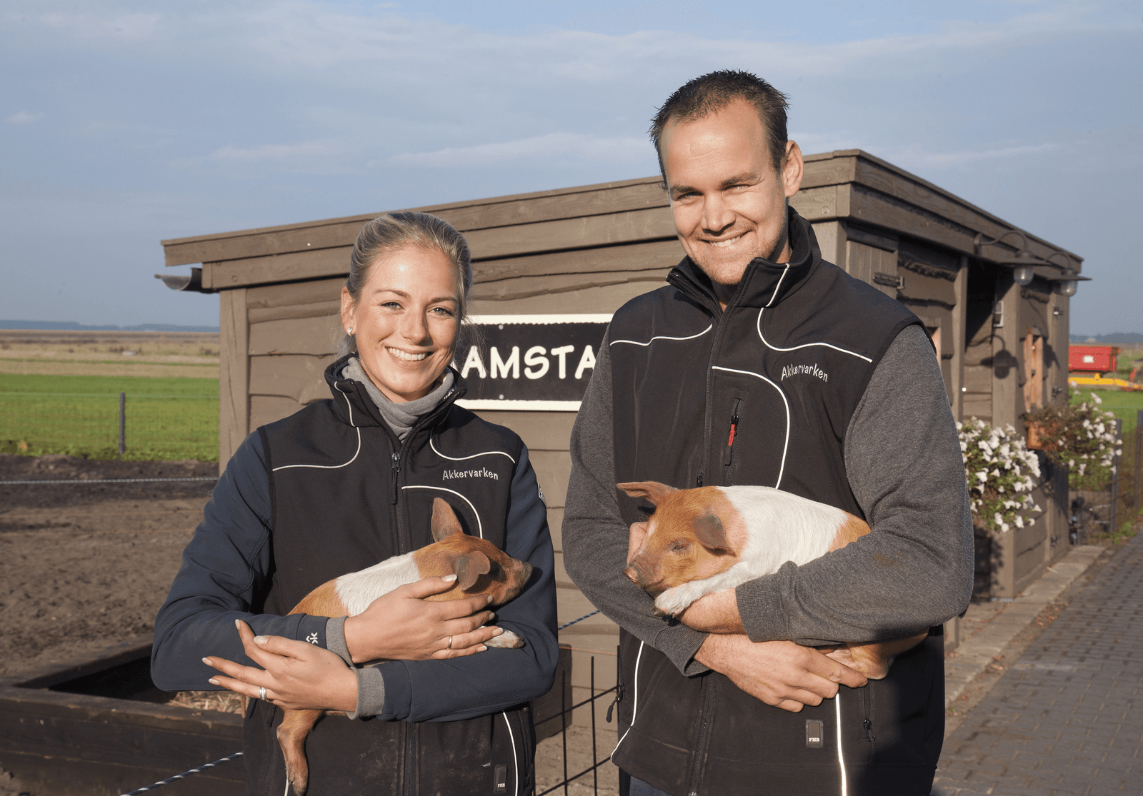 Eikels zijn een extraatje voor akkervarkens - Foto: Hans Banus