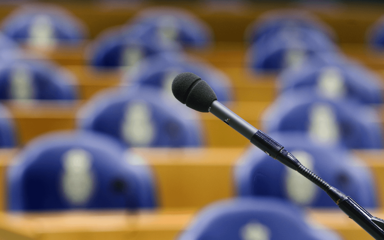 GroenLinks wil snel openheid rond imidacloprid - Foto: ANP
