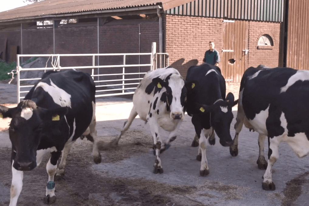 Boerderij de Opvolger: Run de boerderij - Foto: Imago Mediabuilders