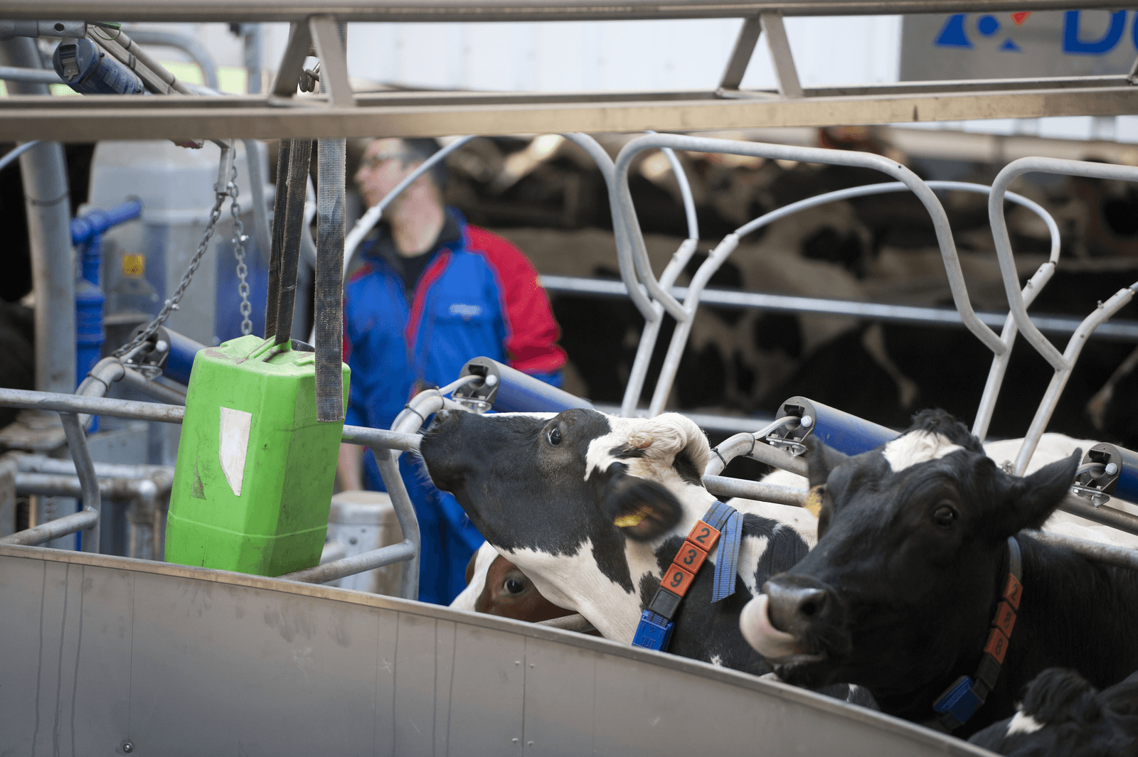 Geld en regelgeving beletten akkoord op derogatietop - Foto: Mark Pasveer