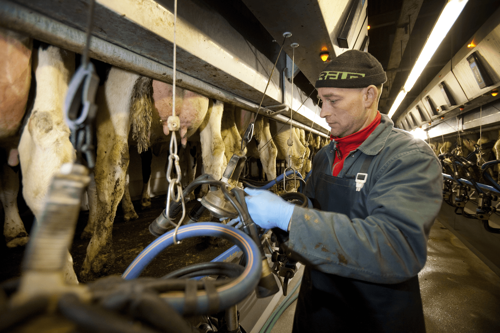 Data boerenbedrijf leveren geld op - Foto: Jan Willem Schouten