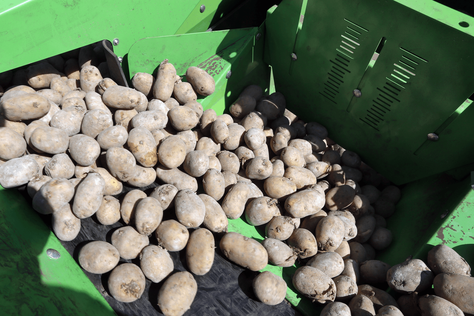 Eerste stappen gezet voor één aardappelnotering - Foto: Bert Jansen