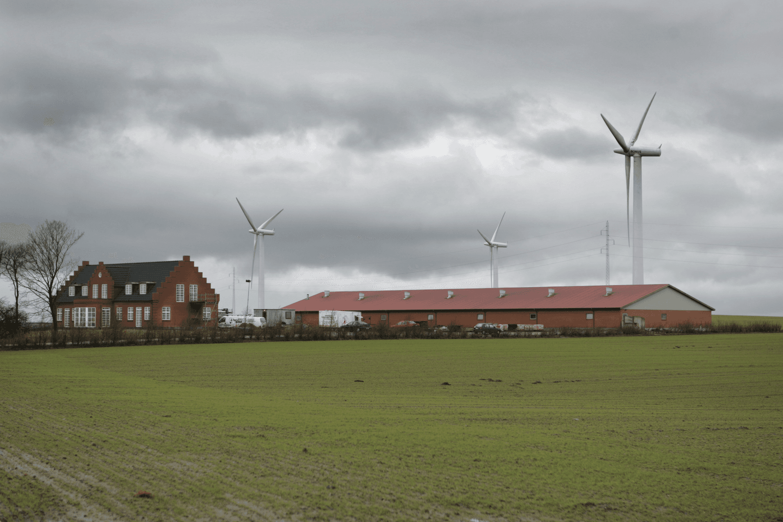 Deense overheid probeert landbouwkredietverlening vlot te trekken - Foto: Mark Pasveer