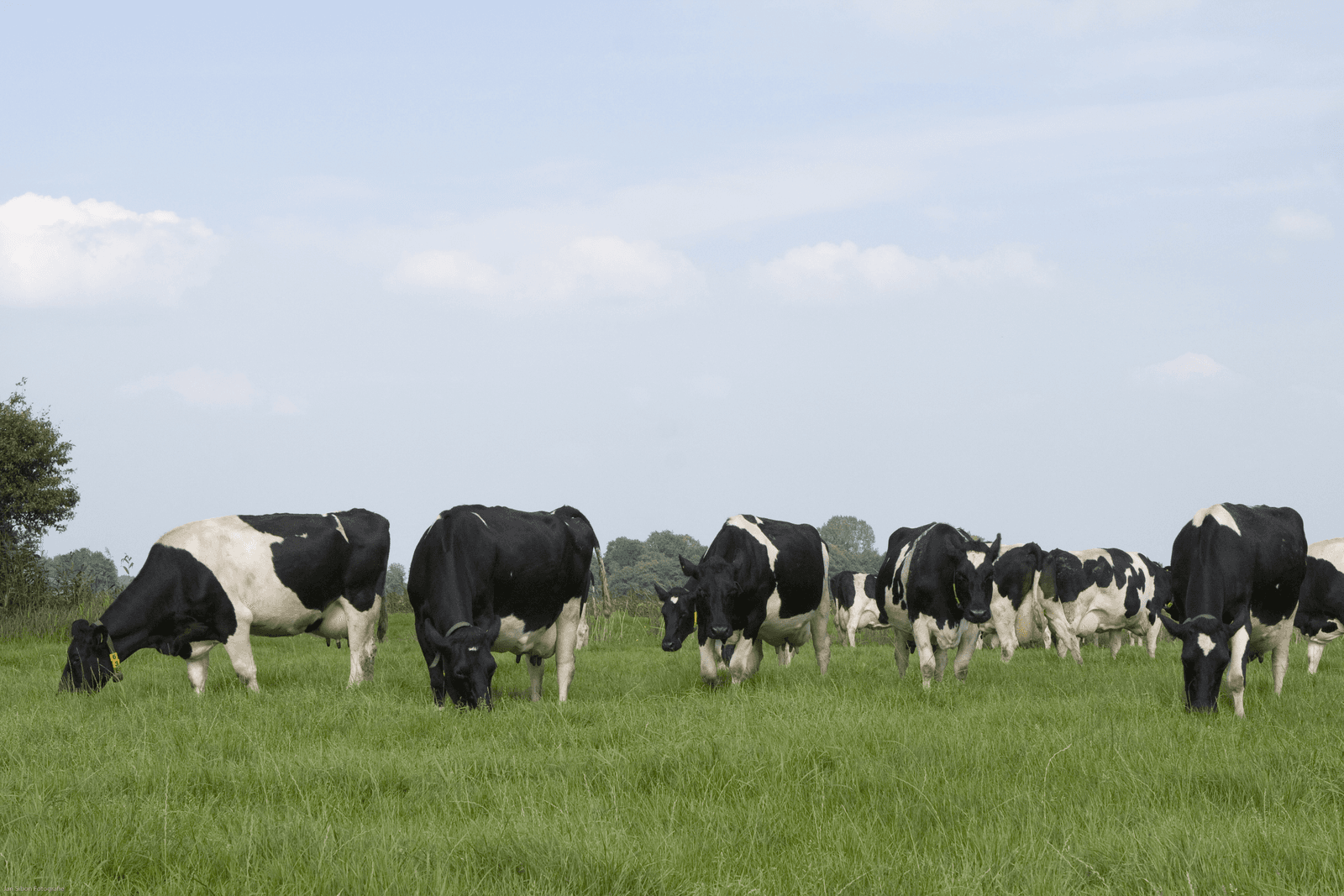 Meer geld en een duurzamere bedrijfsvoering - Foto: Jan Sibon