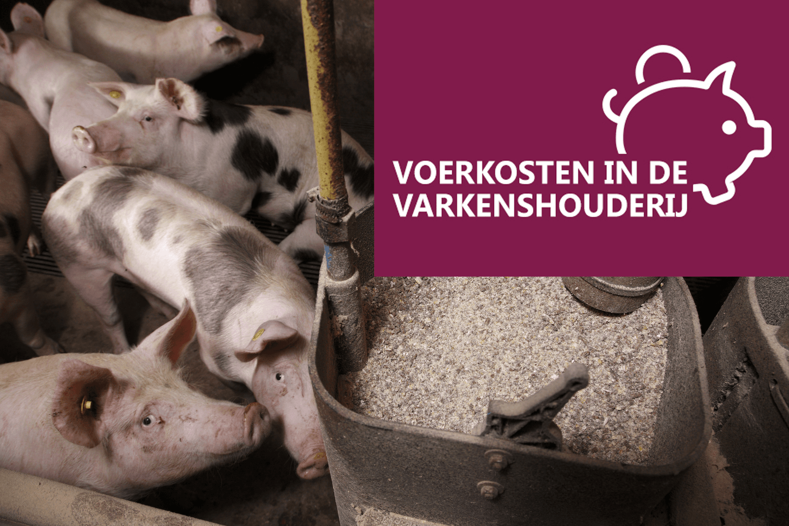 Kijk mee!