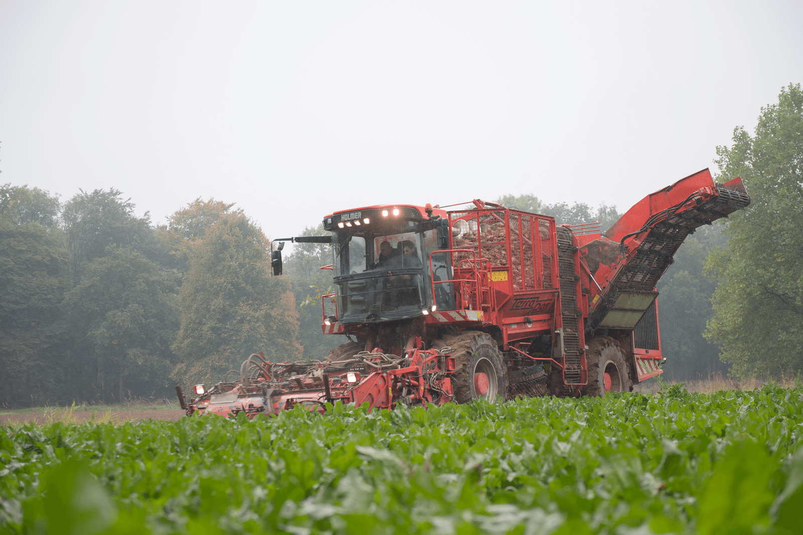 Nu veel oogstwerkzaamheden klaar zijn, vullen telers hun bouwplan voor 2017 in. De handel in ledenleveringsbewijzen (LLB's) van Suiker Unie neemt daardoor toe. - Foto: Michel Velderman