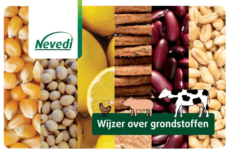 Afbeelding: Nevedi