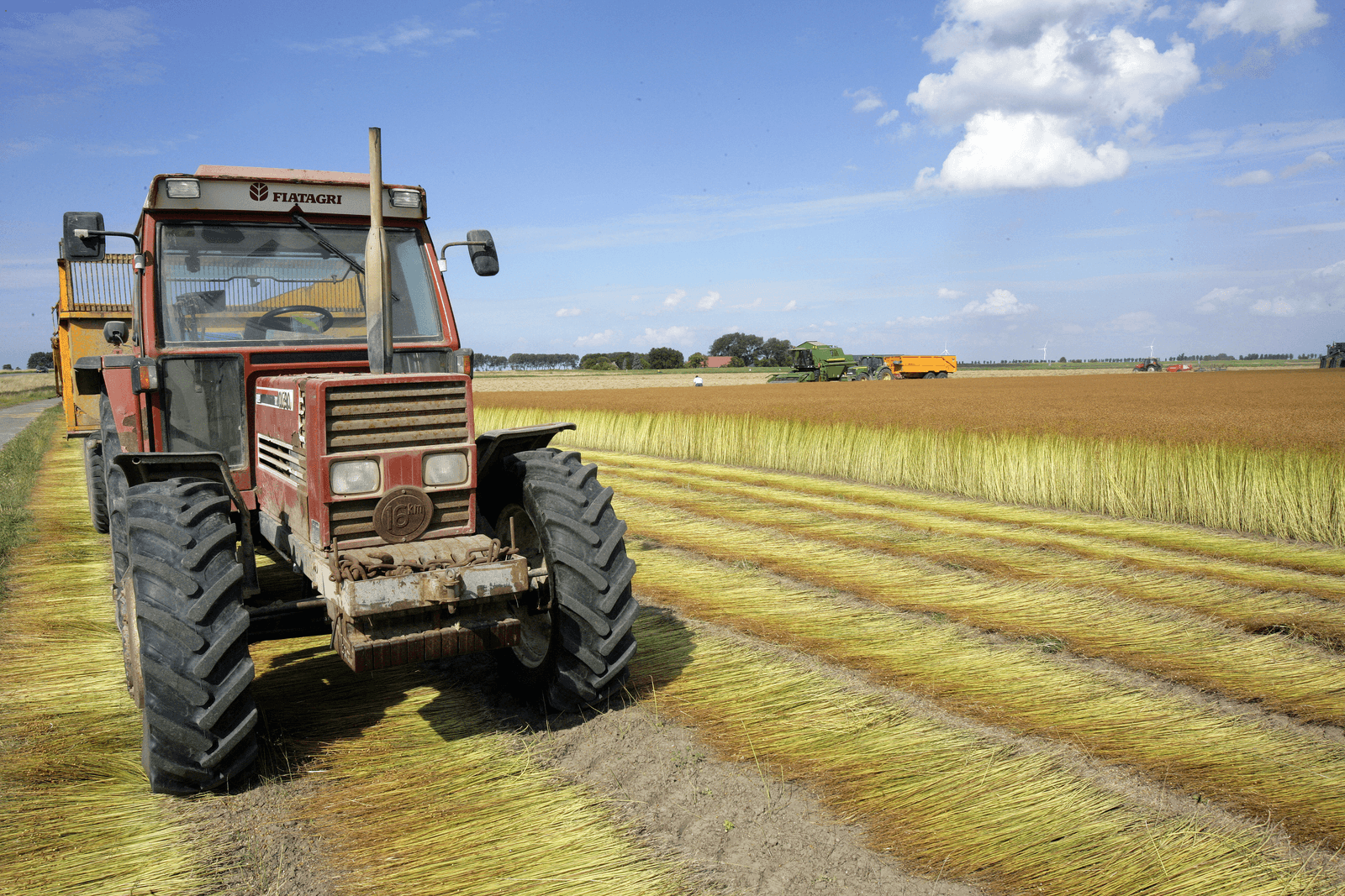 Van der Bilt steunt roep om evenwicht vlasproductie - Foto: Henk Riswick