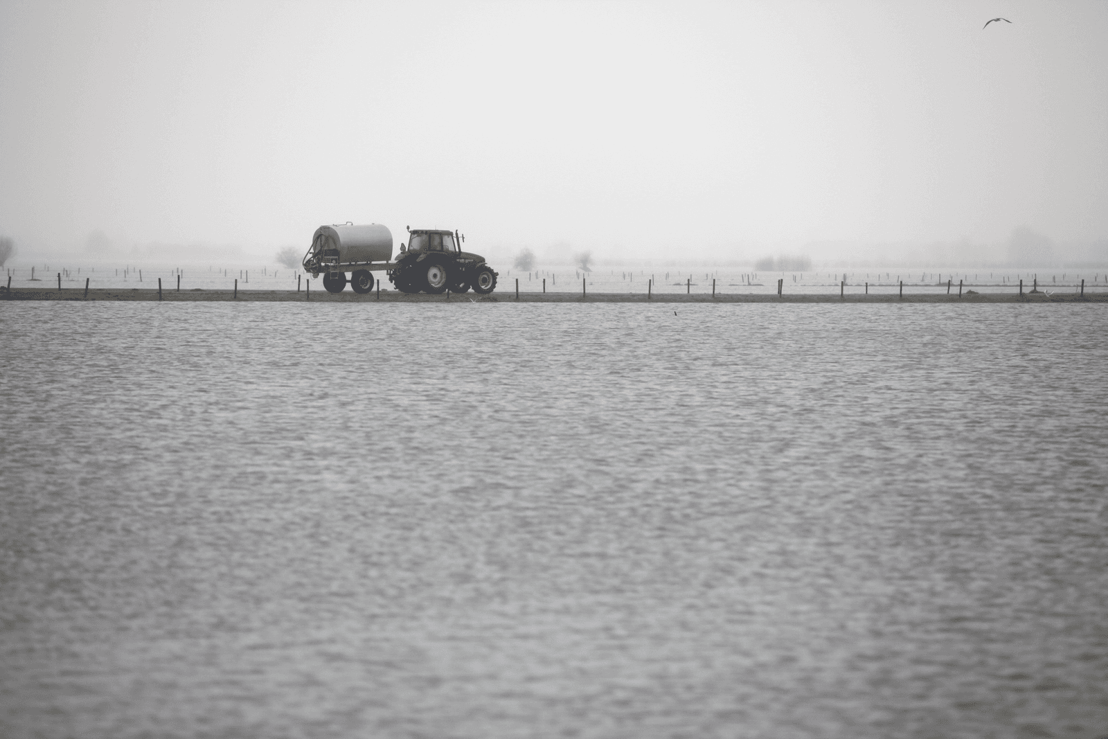Inzet Limburgse landbouwgrond als opvangbekkens - Foto: Jan Willem Schouten