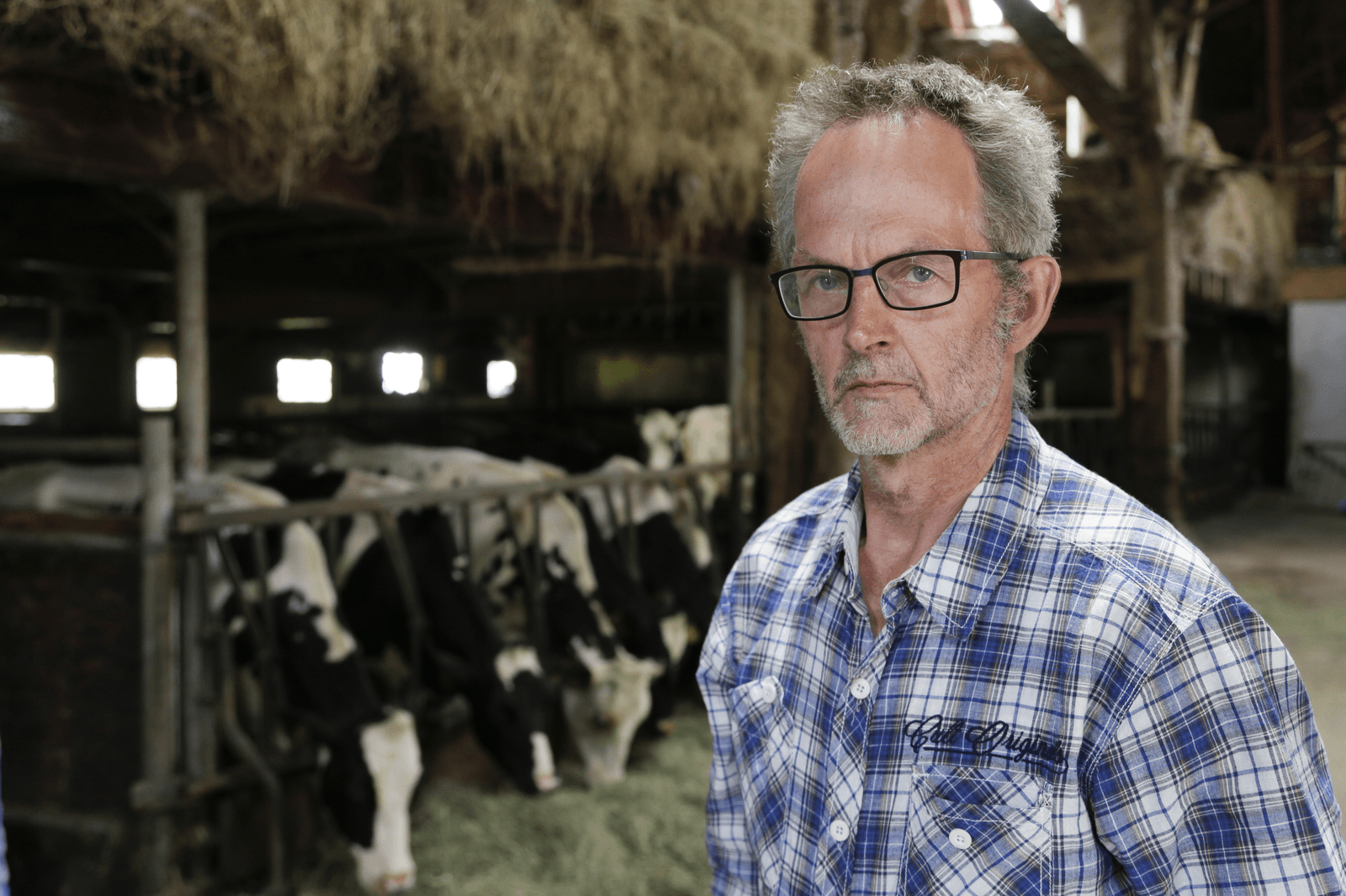 Bestuurder NMV Harm Wiegersma - Foto: Jan Willem van Vliet