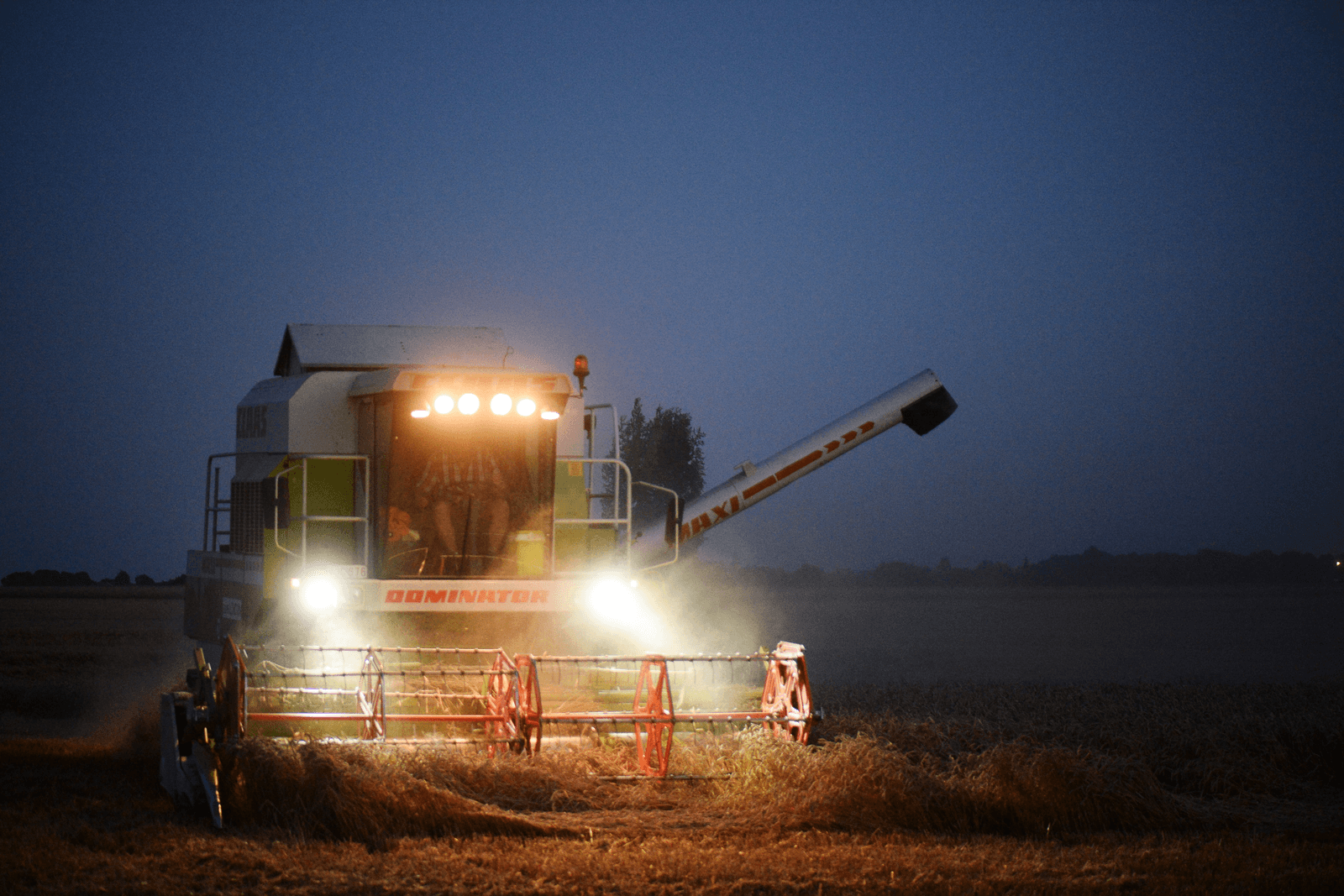 Foto: Twan Wiermans