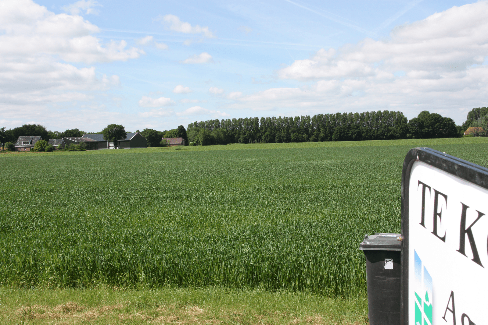 Foto: Martijn ter Horst