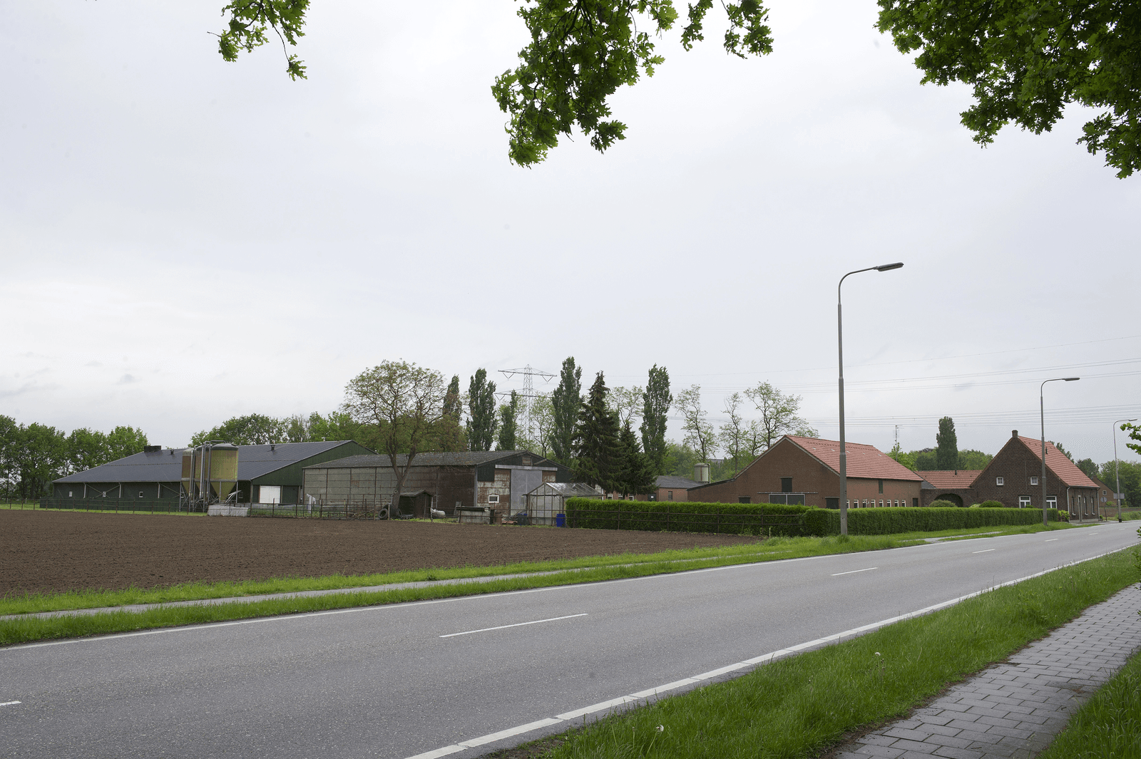 Geurhinder bij omwonenden van varkensbedrijven komt minder voor dan aangenomen. - Foto: Marcel van Hoorn