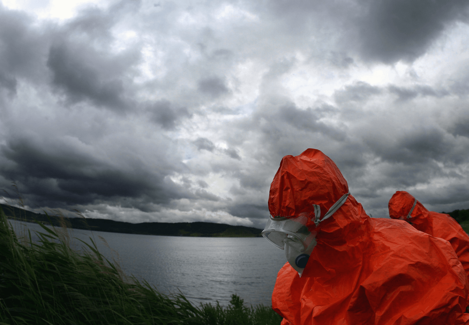 H5N8 duikt ook op in Oostenrijk - Foto: AFP