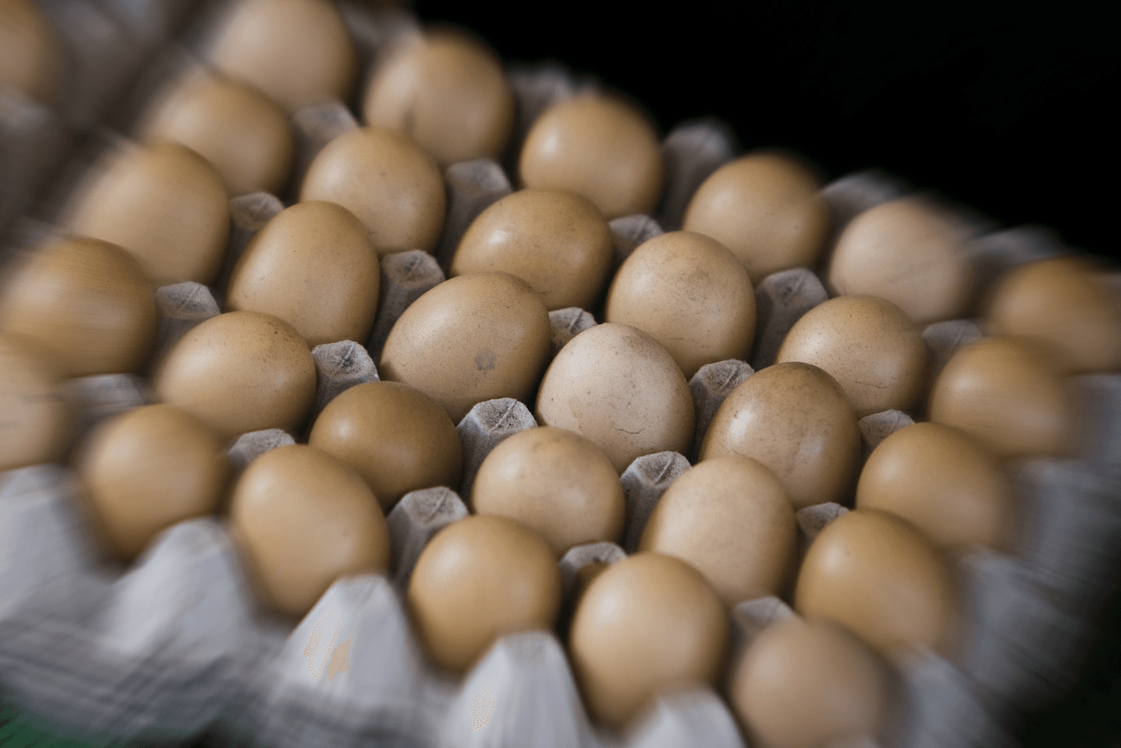 NVWA: Poolse eieren met salmonella niet eten - Foto: ANP