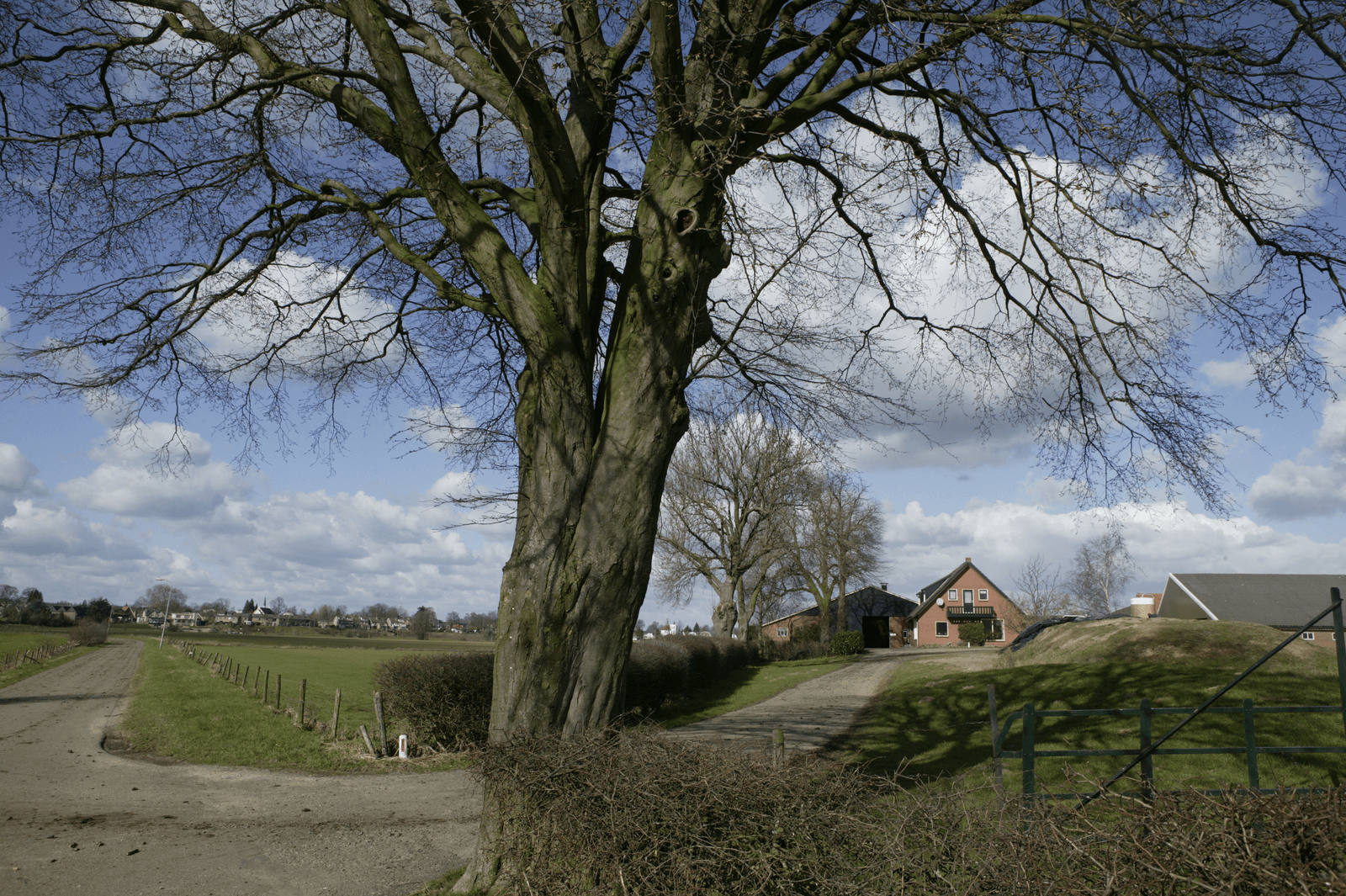 Gelderland wil boeren helpen met vitaal platteland - Foto: Mark Pasveer
