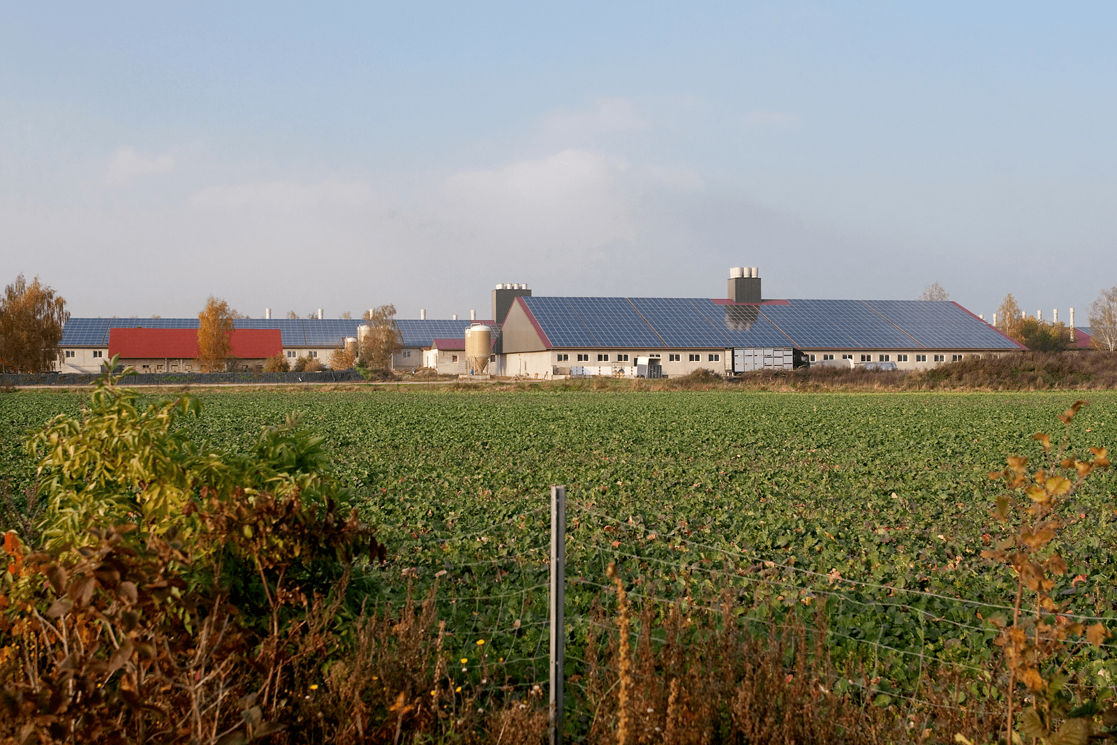 Voormalige Oost-Duitse kolchozen zijn toekomstmodel voor gangbare gezinsbedrijven - Foto: Ronald Hissink