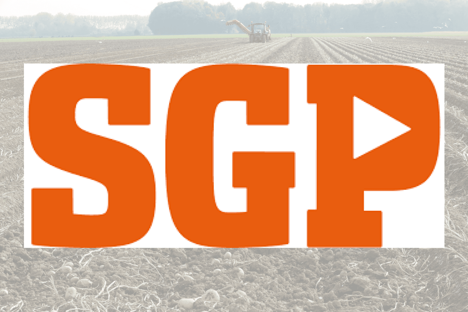 Foto en afbeelding: SGP en Ronald Hissink