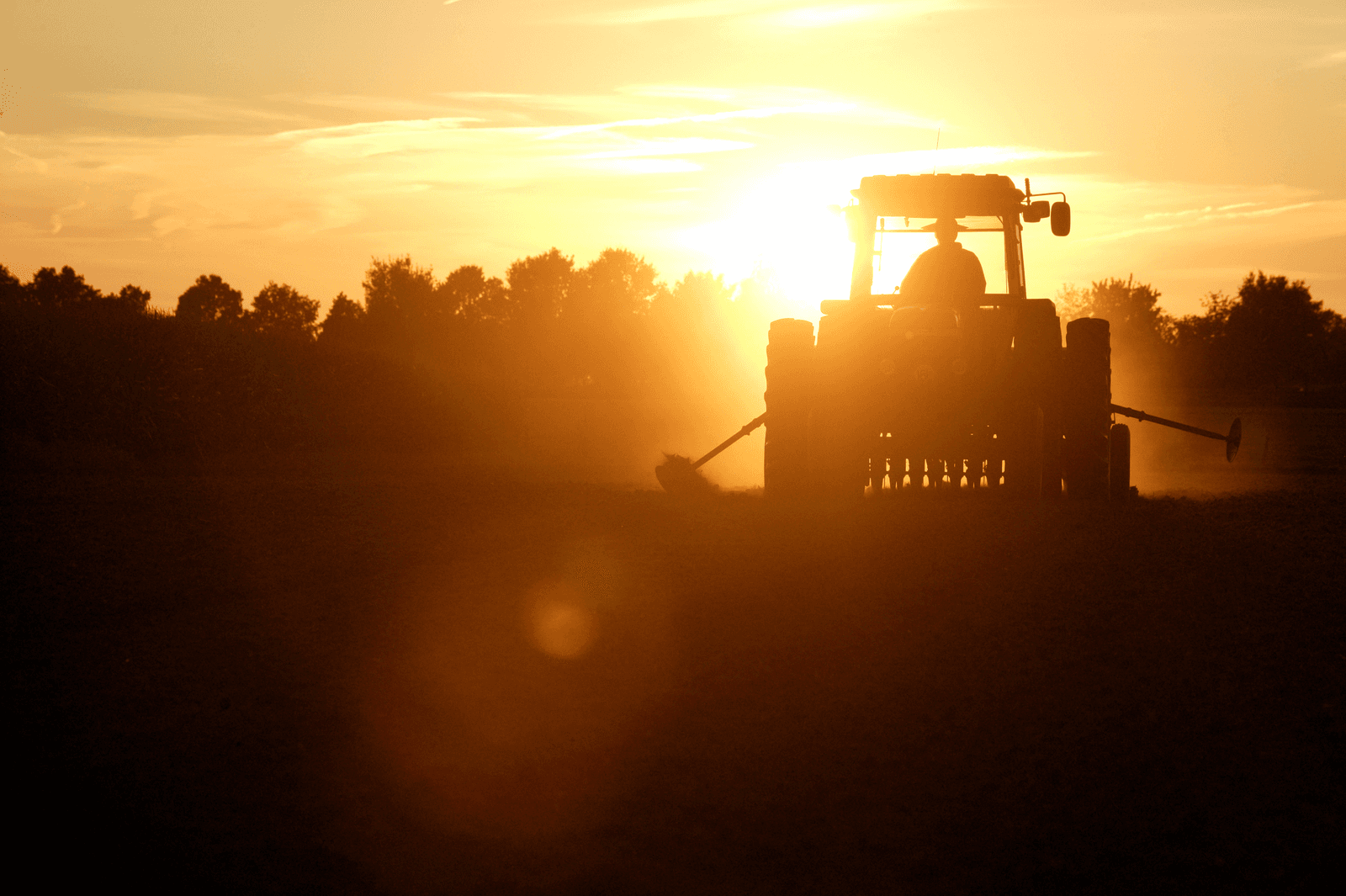 Boeren zijn iets positiever over de toekomst - Foto: Hans Prinsen