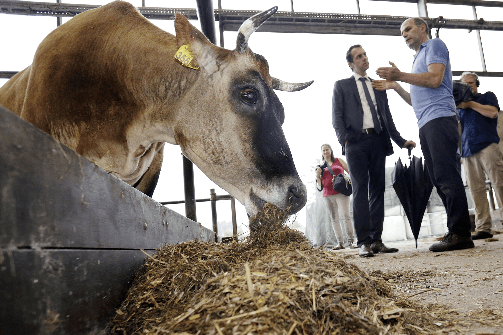 Foto: Ton Kastermans