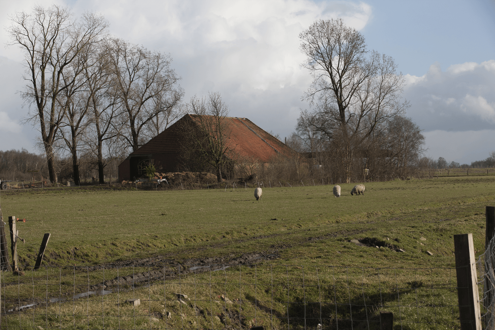 Foto: Hans Banus