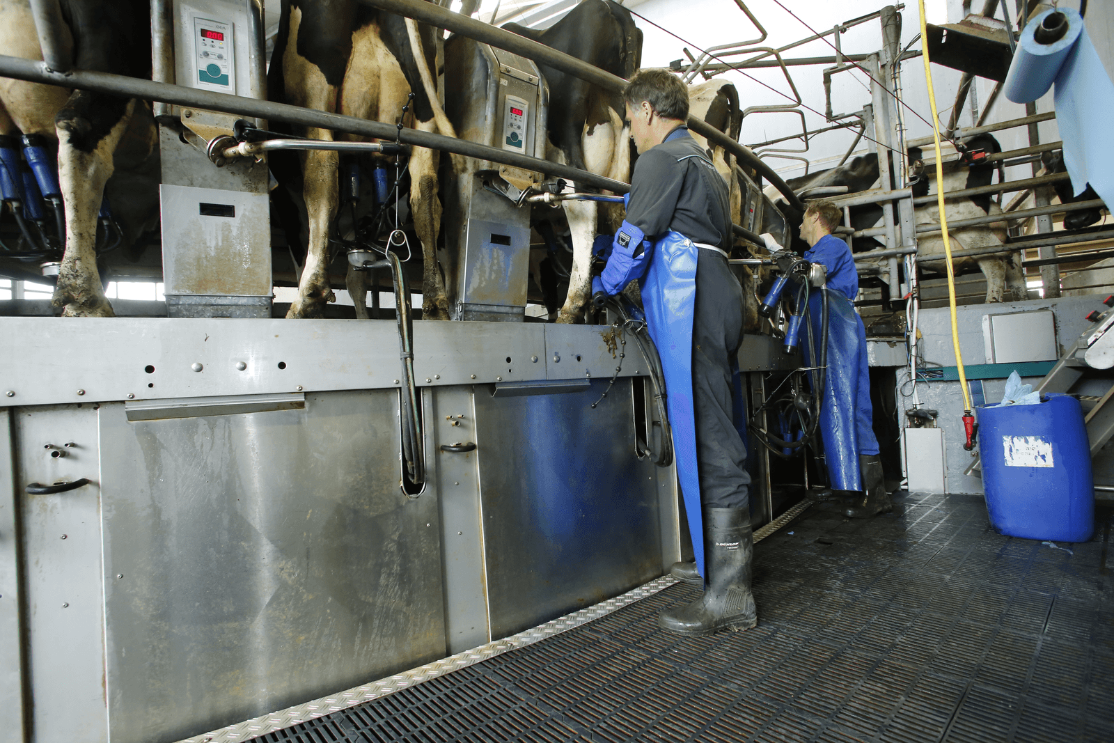 Minder melk is goed voor elk - Foto: Henk Riswick