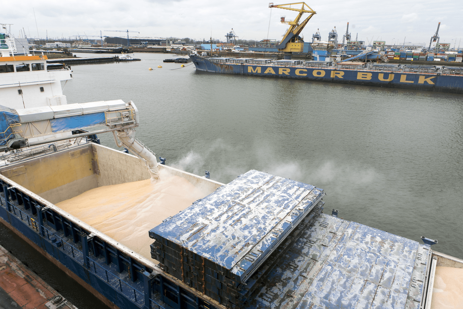 Landbouw exporteert meer tot en met juli - Foto: Roel Dijkstra