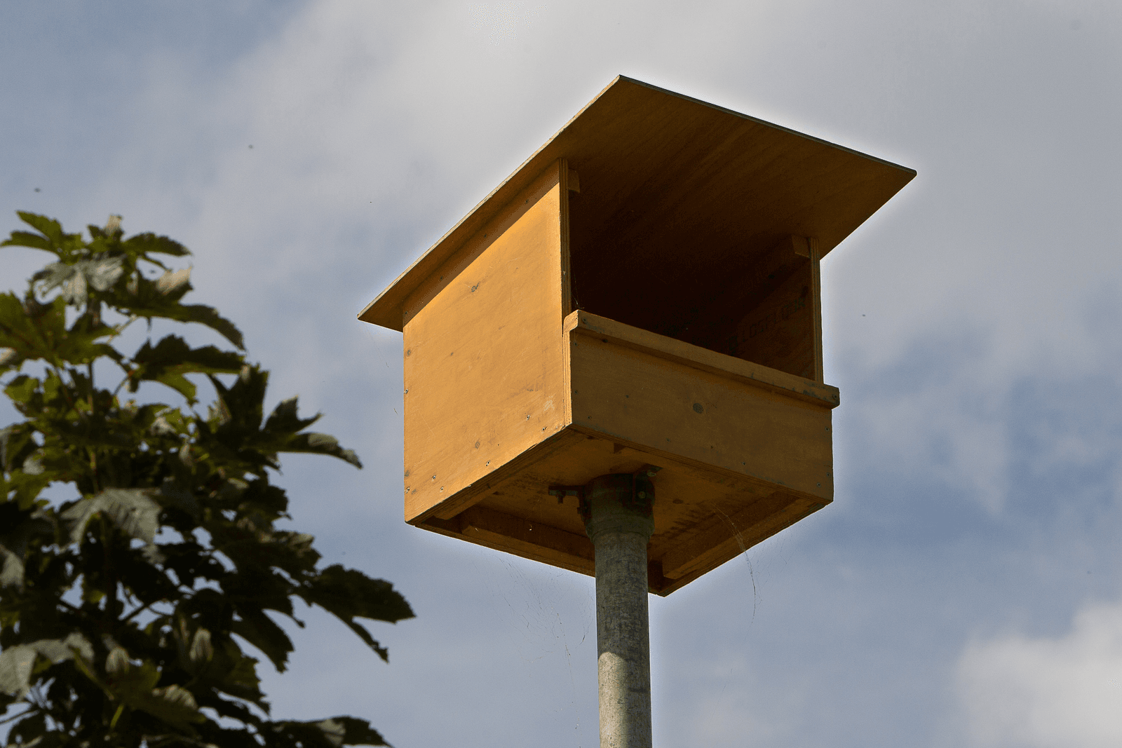 Steenuil en torenvalk houden bouw varkensstal tegen