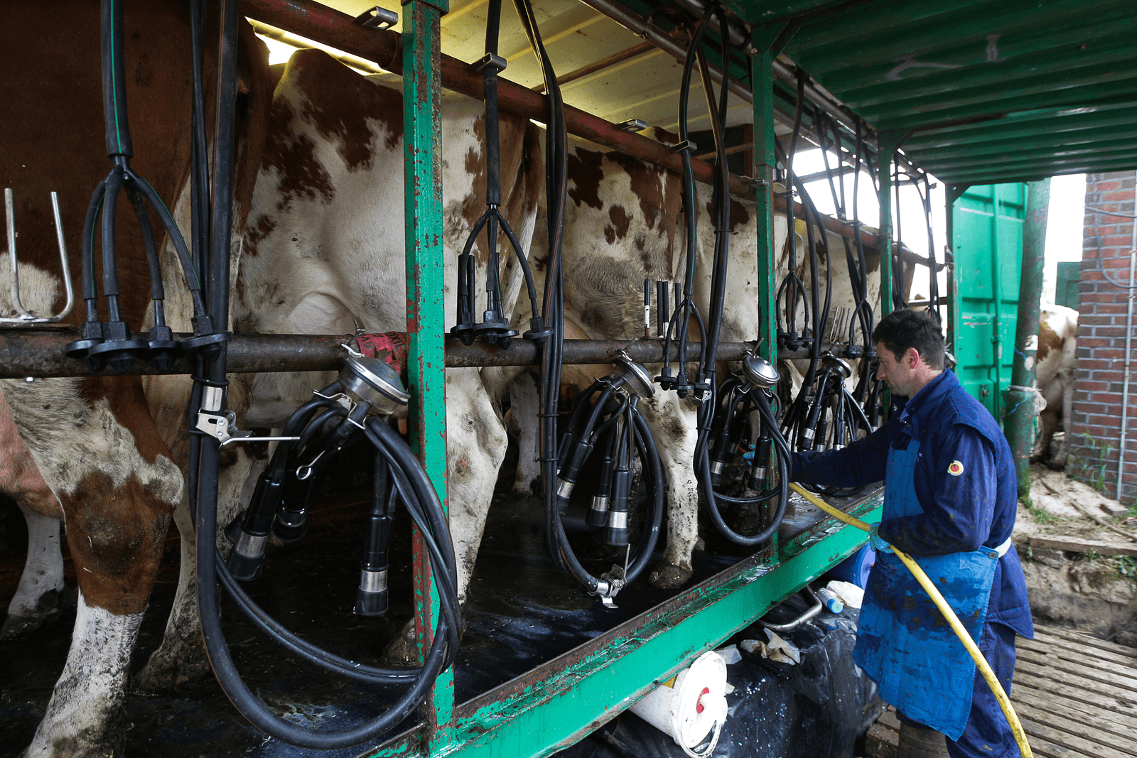 Reageren op marktsignalen - Foto: Ronald Hissink