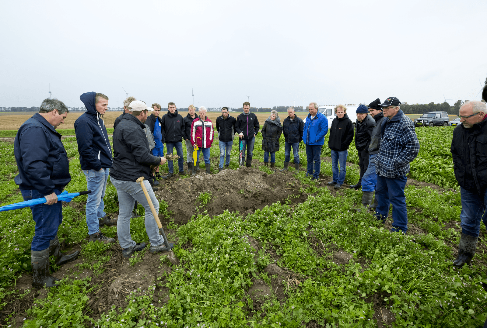 Akkerbouwers krijgen van Delphy-adviseur Christoffel den Herder uitleg over de beworteling van een groenbemester. Foto: Ruud Ploeg