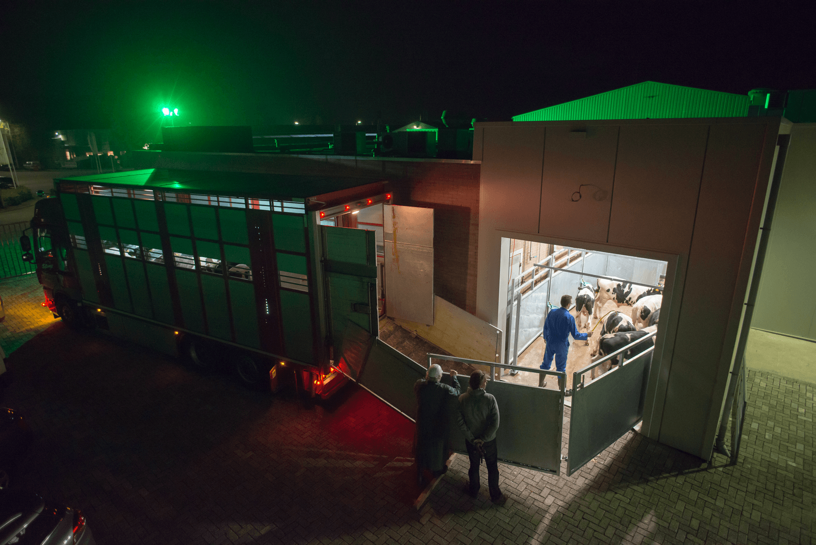 Het aanleveren van de eerste kalveren bij Fuite Veal in Tubbergen. - Foto: Michel Velderman