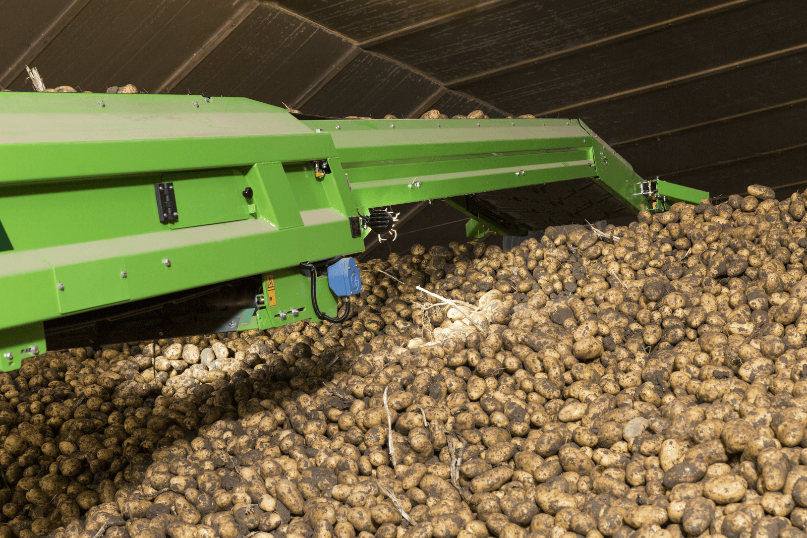 Aardappelexport EU 31% groter in september - Foto: Koos Groenewold