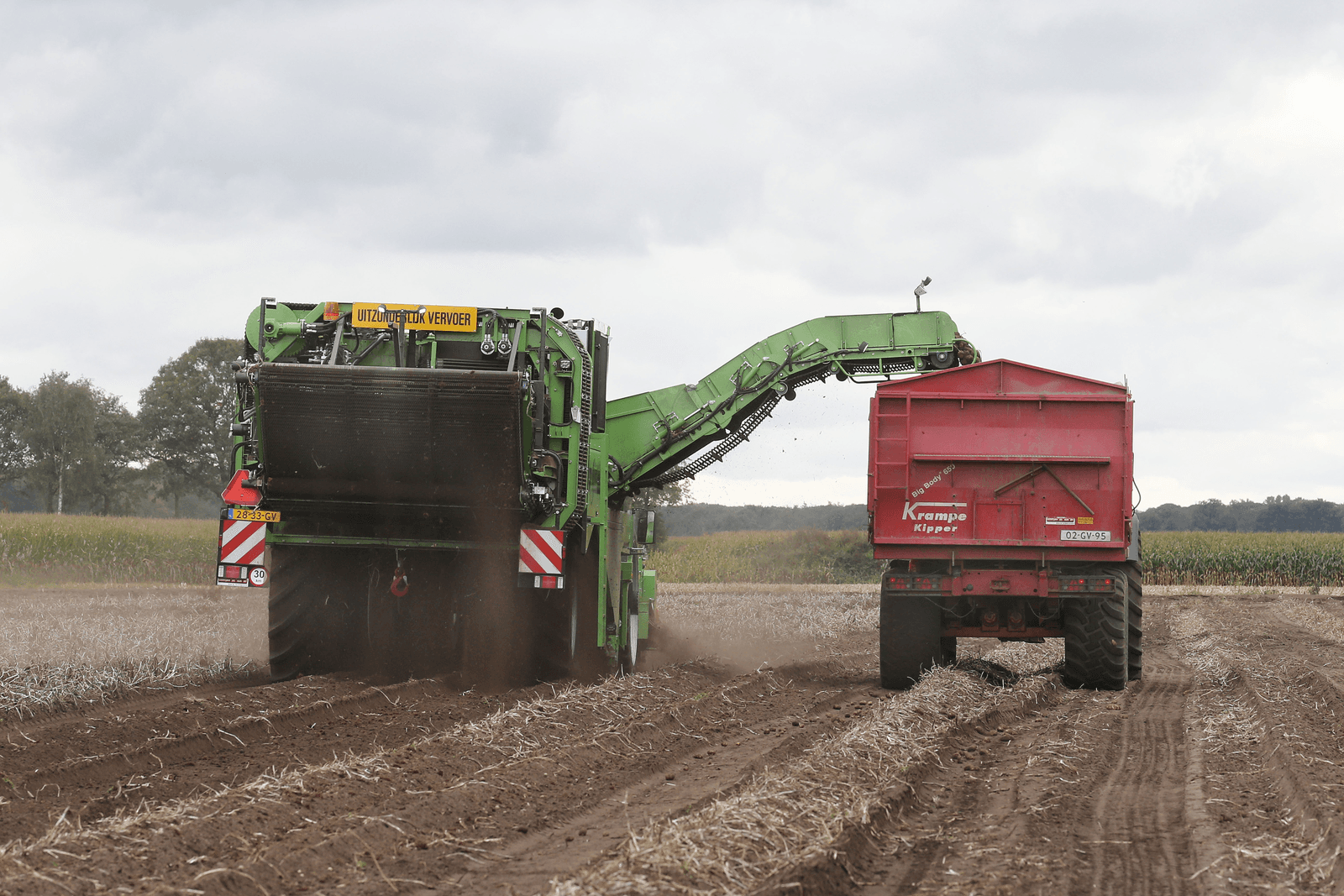 Gelijke regels nodig voor behoud aardappelteelt - Foto: Bert Jansen